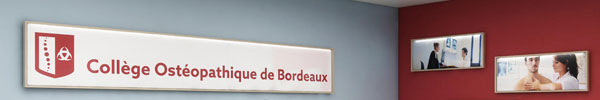 hall d'accueil Cob de Bordeaux